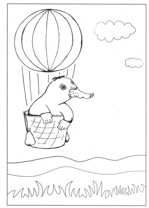 Sauerli fliegt in einem Heißluftballon